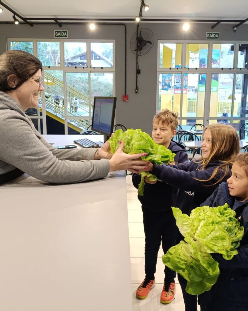 Alunos do Período Integral do Colégio Global entregando na cozinha as alfaces que plantaram na horta