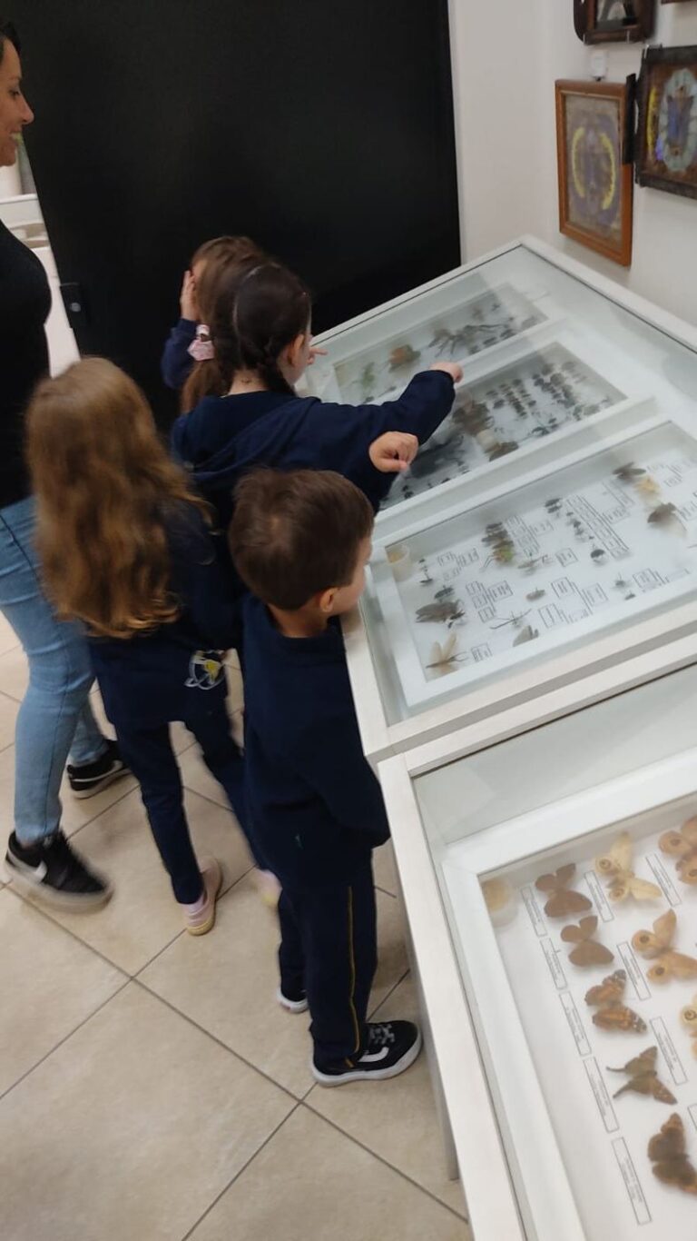 Alunos da Educação Infantil do Colégio Global no Museu Entomológico Ornith Bollmann