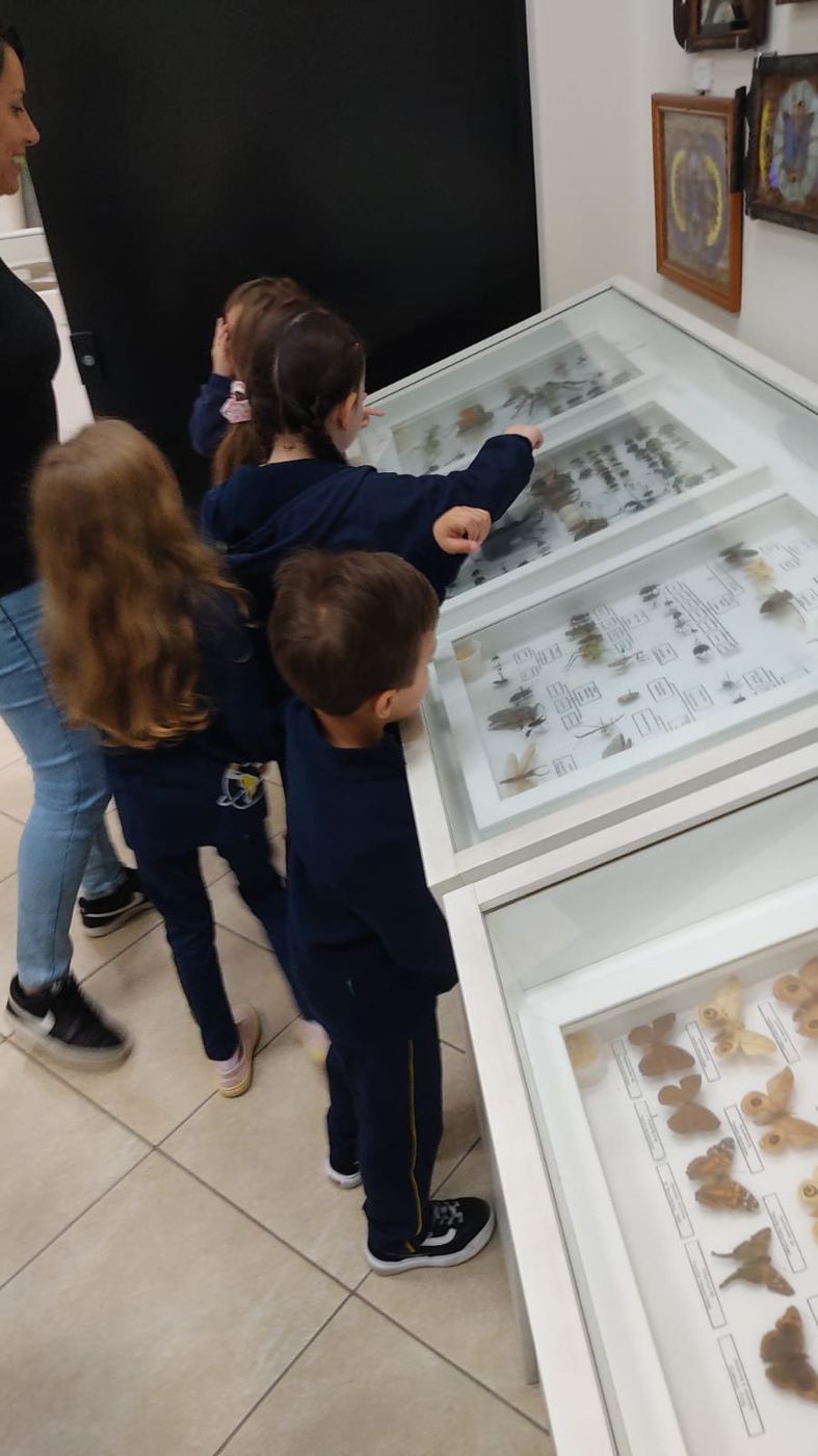 Alunos da Educação Infantil do Colégio Global no Museu Entomológico Ornith Bollmann