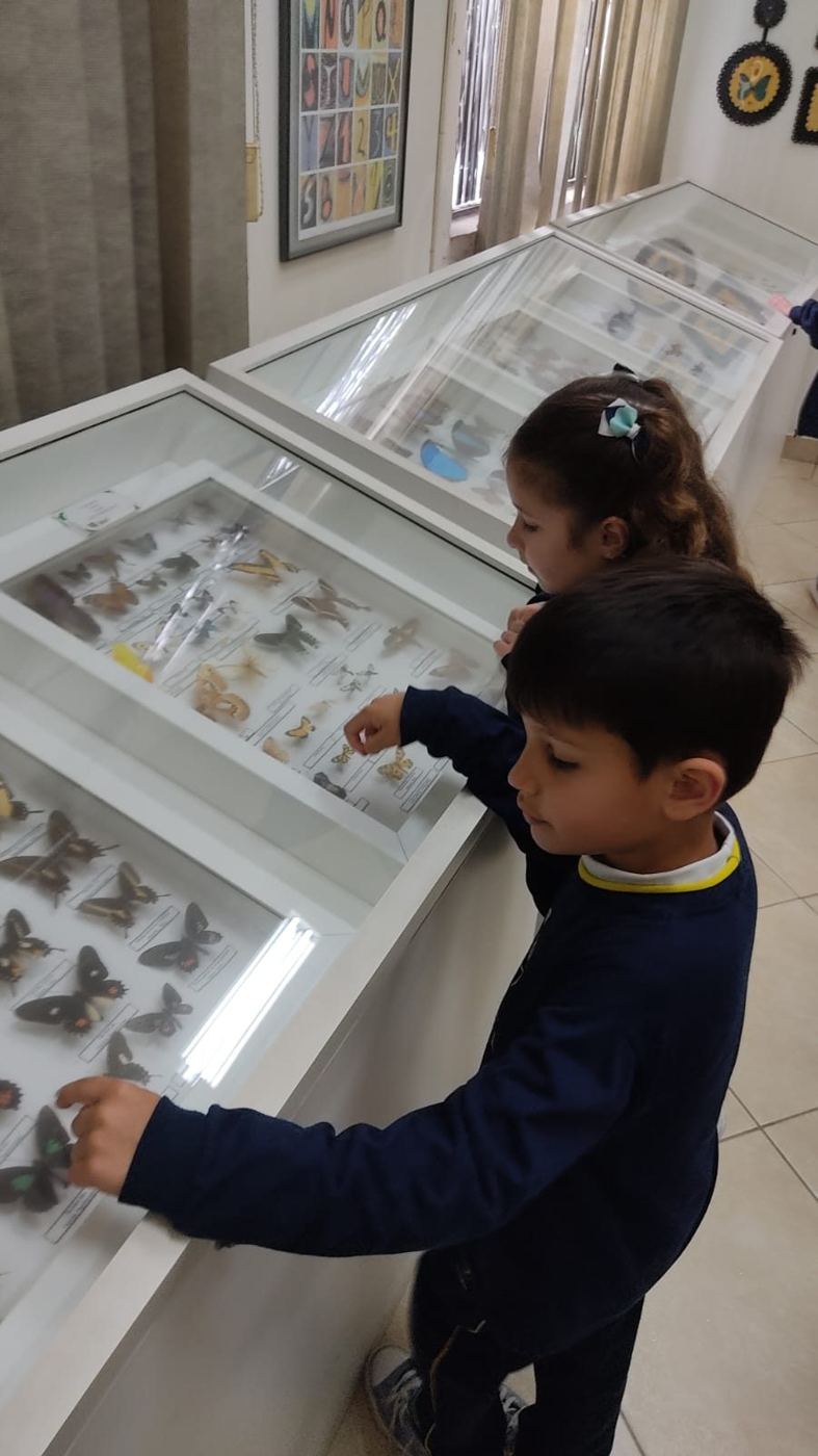 Alunos da Educação Infantil do Colégio Global no Museu Entomológico Ornith Bollmann