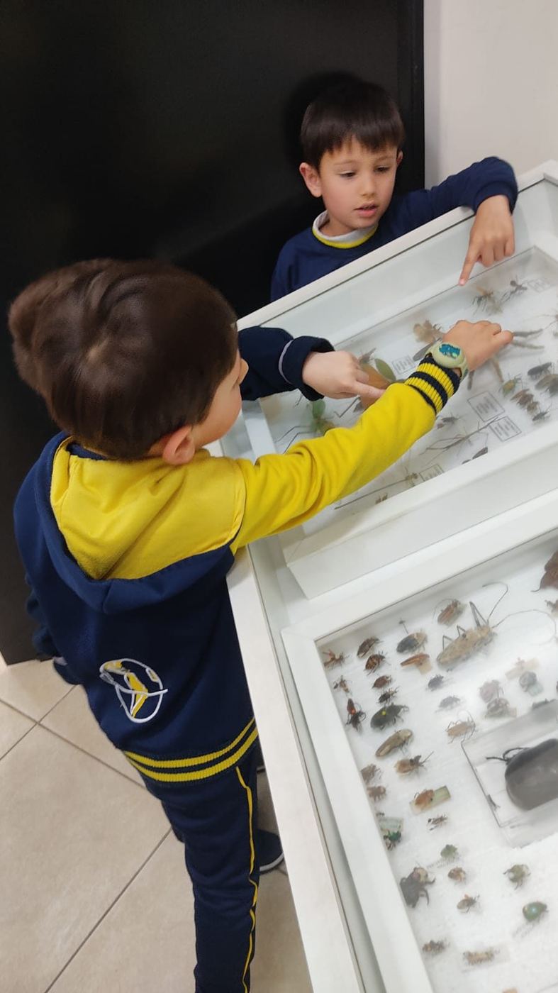 Alunos da Educação Infantil do Colégio Global no Museu Entomológico Ornith Bollmann