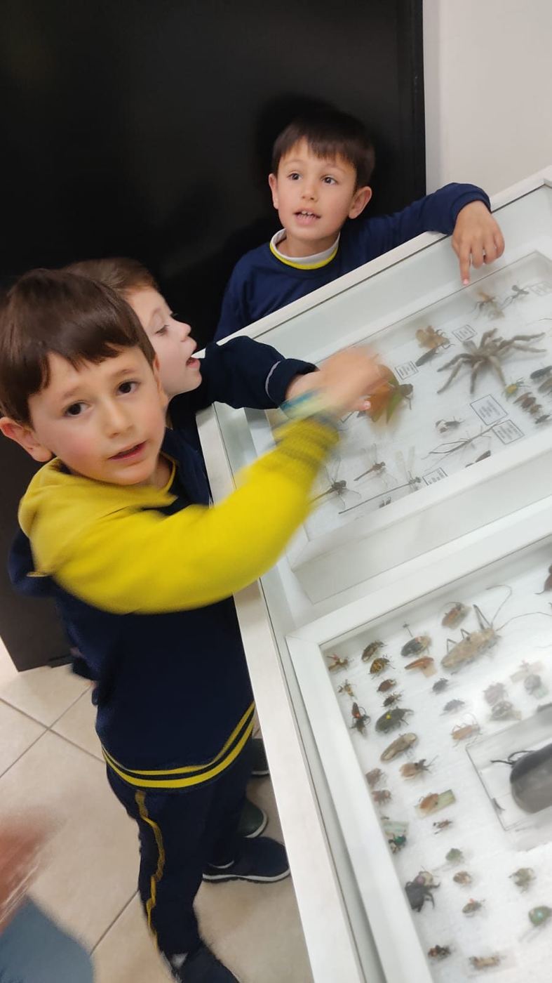 Alunos da Educação Infantil do Colégio Global no Museu Entomológico Ornith Bollmann