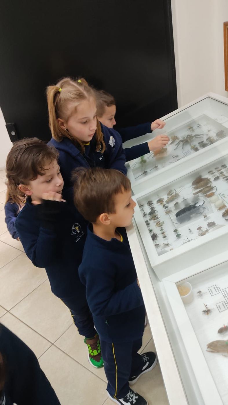Alunos da Educação Infantil do Colégio Global no Museu Entomológico Ornith Bollmann
