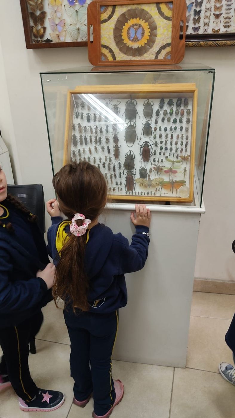 Alunos da Educação Infantil do Colégio Global no Museu Entomológico Ornith Bollmann