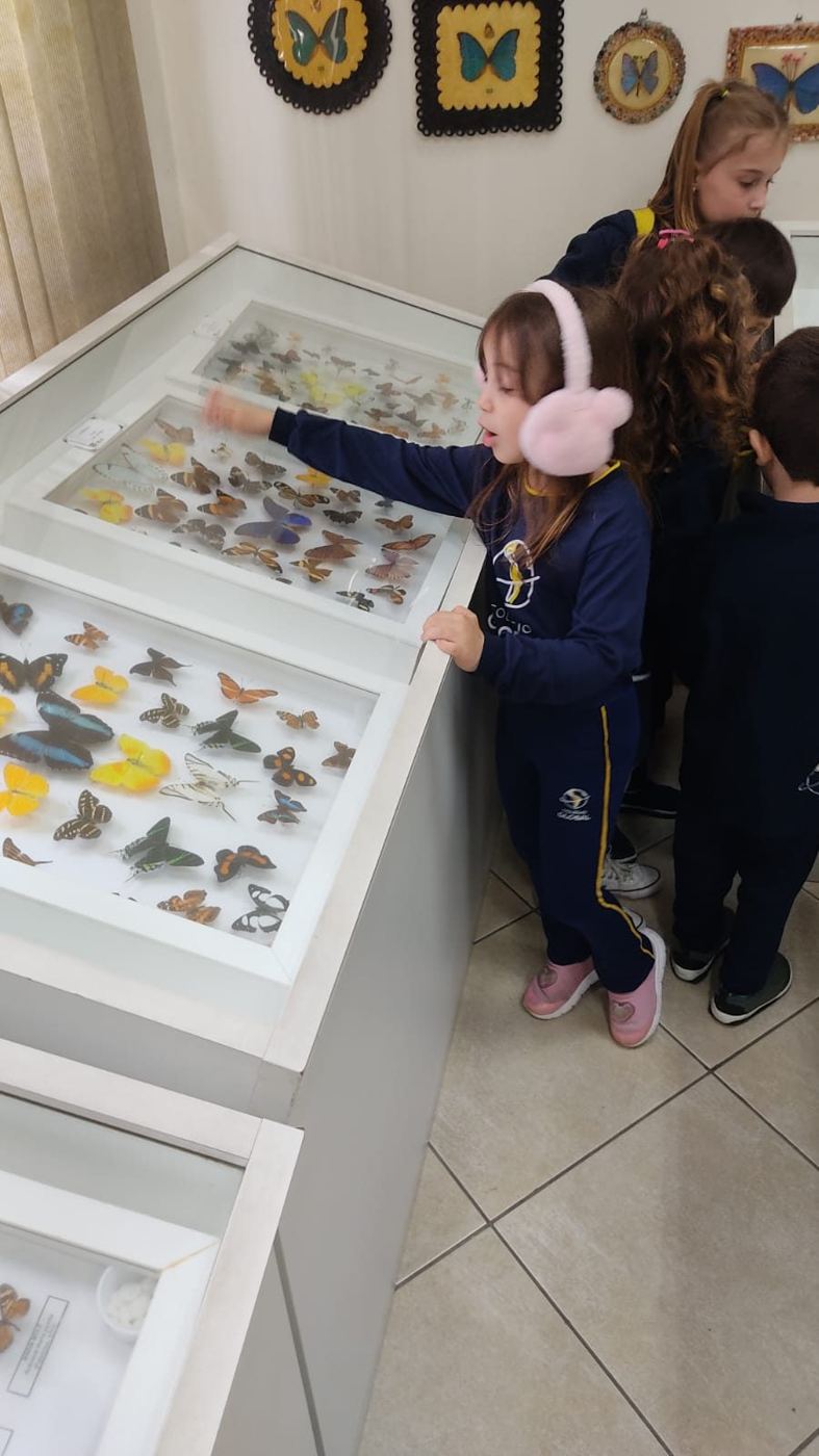 Alunos da Educação Infantil do Colégio Global no Museu Entomológico Ornith Bollmann