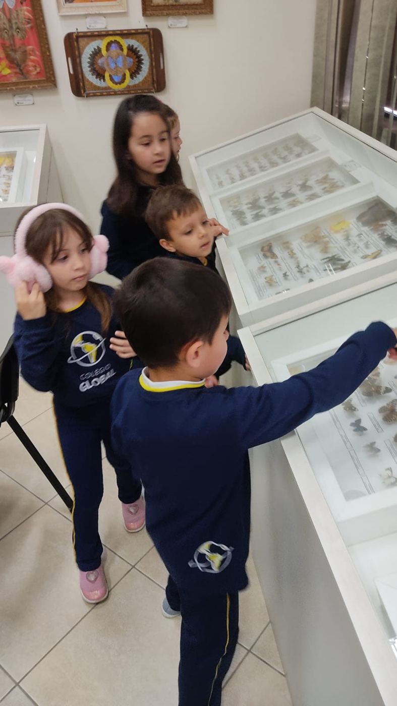 Alunos da Educação Infantil do Colégio Global no Museu Entomológico Ornith Bollmann