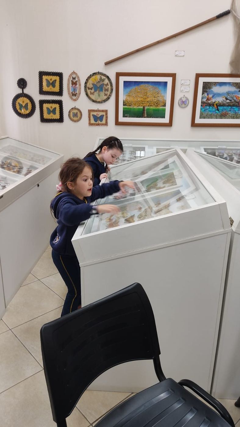 Alunos da Educação Infantil do Colégio Global no Museu Entomológico Ornith Bollmann